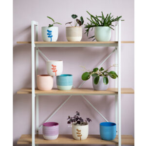 Rosa Planter Pot