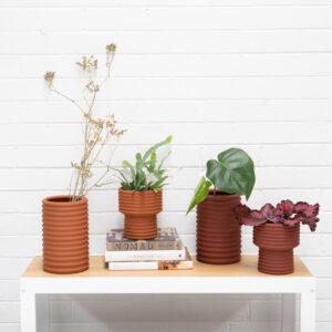 Alma Vase