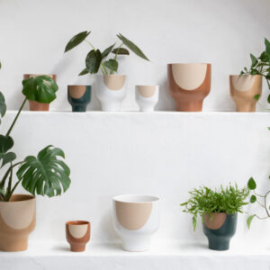 Ash Planter Pot