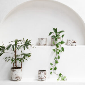 Dara Planter Pot