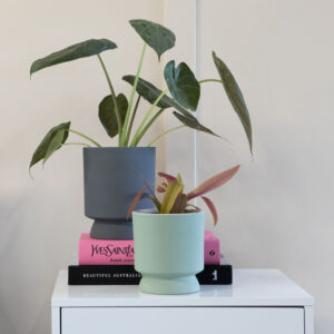 Thea Planter Pot