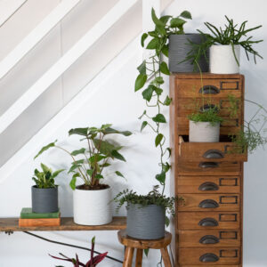 Lawson Planter Pot