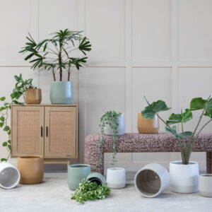 Juno Planter Pot
