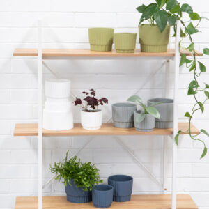 Zoey Set of 3 Planter Pots