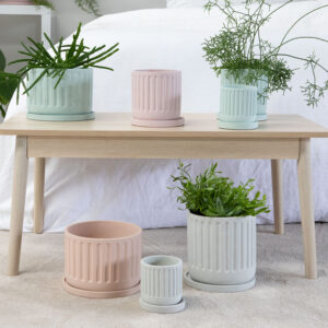 Eliza Planter Pot with Saucer