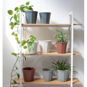 Morley Planter Pot