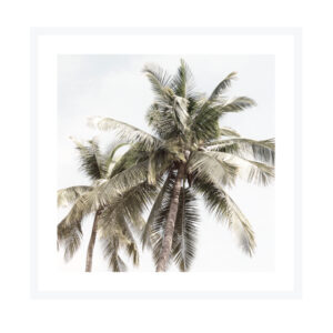 Framed Art 76x76cm Palms
