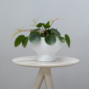 Melanie Planter Pot