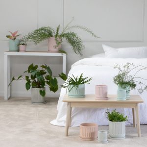 Eliza Planter Pot with Saucer