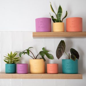 I Wet My Plants Planter Pot
