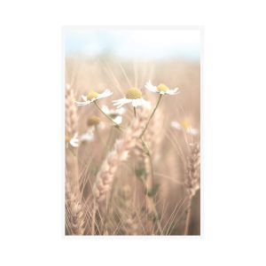 Framed Art 60x90cm Flower Field