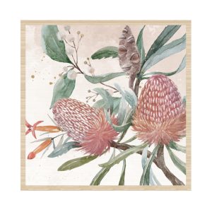 Framed Art 76x76cm Banksia 2