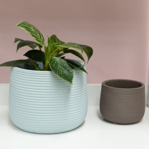 Poppy Planter Pot