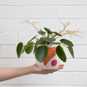 Remi Set of 2 Planter Pots