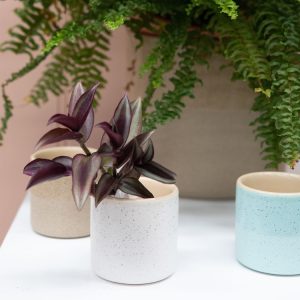Capri Planter Pot