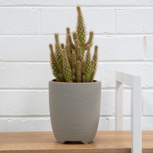 Lucas Planter Pot