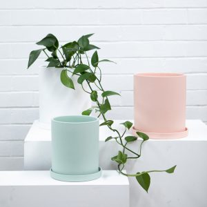 Alice Planter Pot with Saucer