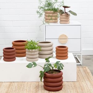 Bodhi Planter Pot with Saucer