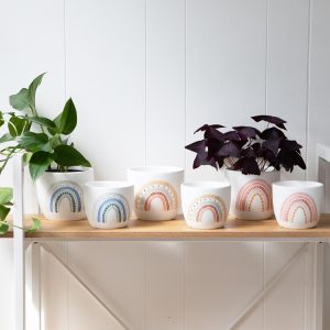 Rainbows Set of 2 Planter Pots