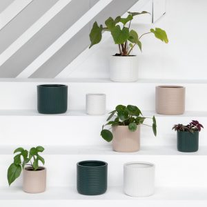 Shelby Planter Pot
