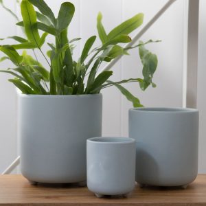 Tara Set of 3 Planter Pots