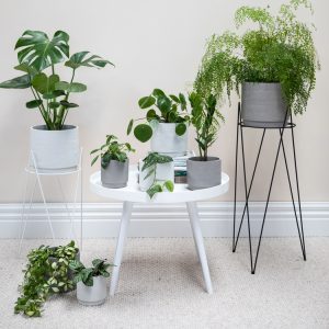 Felix Planter Pot