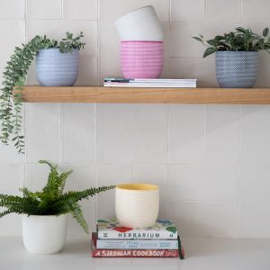 Daisy V3 Planter Pot