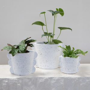 Sasha Planter Pot