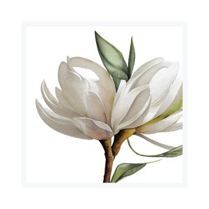 Framed Art 76x76cm White Magnolia