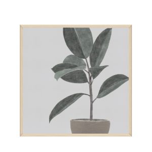 Wall Decoration 60x60cm Framed Canvas Rubber Plant