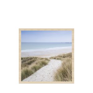 Wall Decoration 30x30 Inch Framed Canvas Sandy Pathway