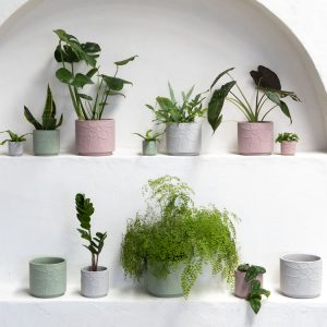 Gemma Planter Pot